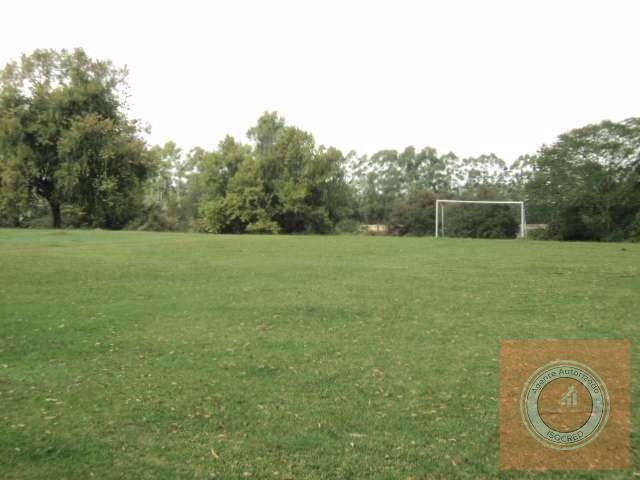 Terreno, 4 hectares - Foto 6