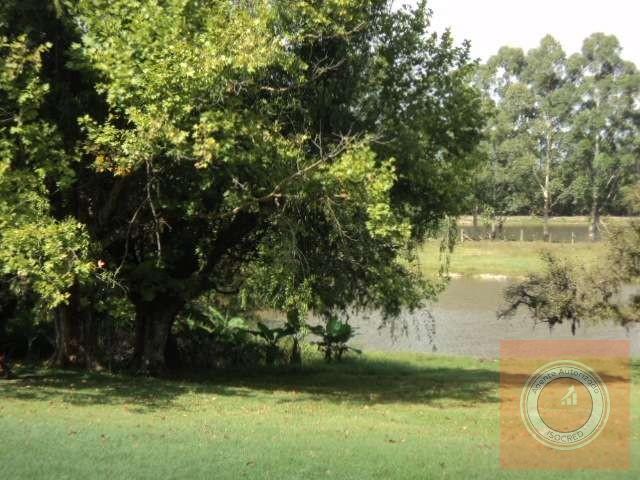Terreno, 4 hectares - Foto 4