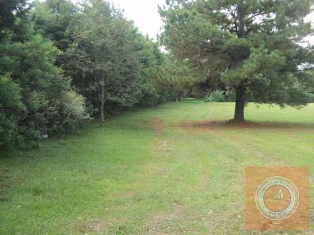 Terreno, 4 hectares - Foto 7