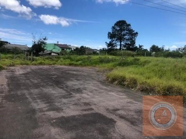 Terreno, 1549 m² - Foto 3