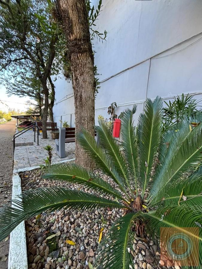 Apartamento, 3 quartos, 73 m² - Foto 4