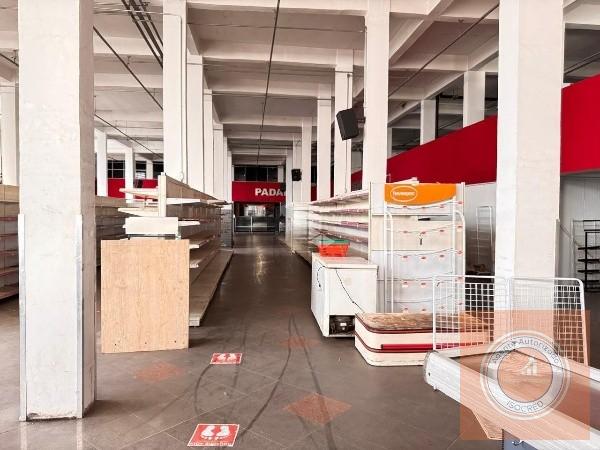 Prédio Inteiro, 3541 m² - Foto 7