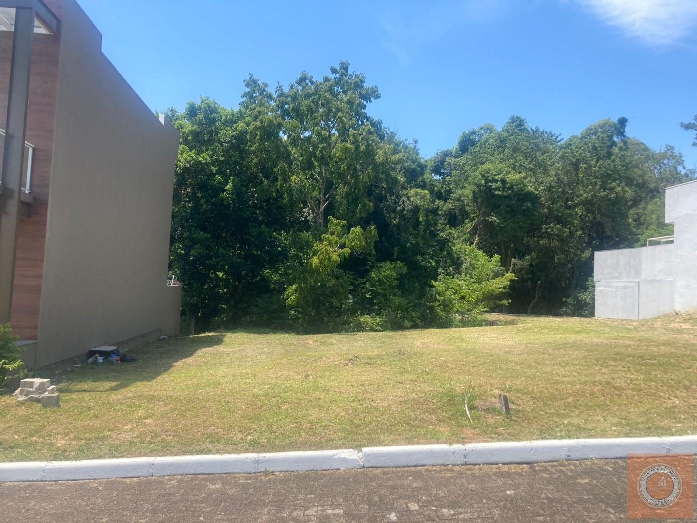 Terreno, 276 m² - Foto 4