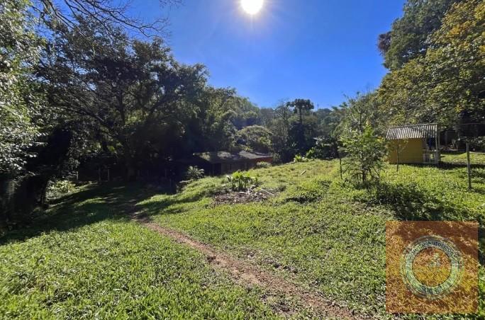 Fazenda, 6369 m² - Foto 11